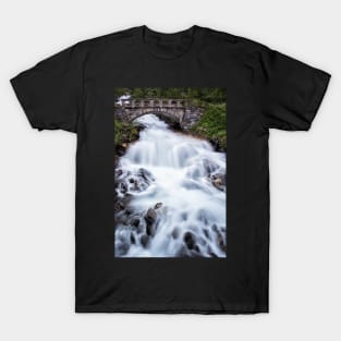 Under the Bridge and Through the Rocks T-Shirt